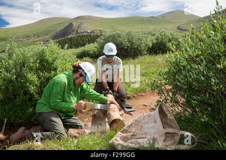 Georgetown, Colorado - Volontari mantenere il Mt. Bierstadt Trail nel Mt. Evans Wilderness Area. Foto Stock