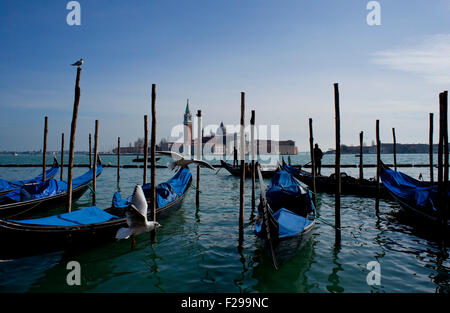 Vista delle gondole a Venezia Foto Stock