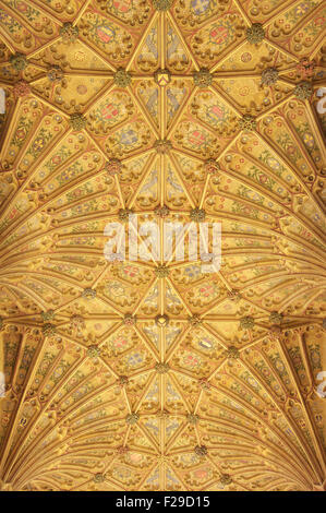 Il allestita ventola gotico soffitto a volte di Sherborne Abbey con il suo design colorato e simboli. Il Dorset, Inghilterra, Regno Unito. Foto Stock