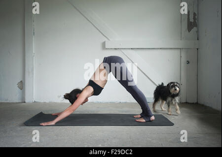 Metà donna adulta pratica cane con la testa in giù pongono in studio di yoga, Monaco di Baviera, Germania Foto Stock