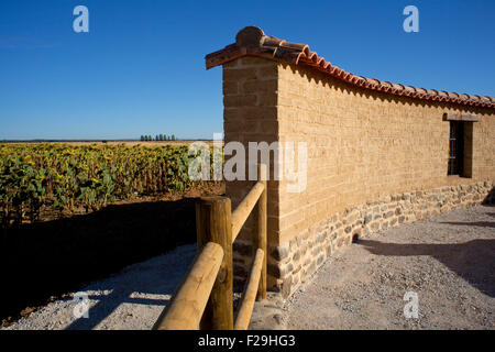 Agriturismo con campo di girasoli Foto Stock