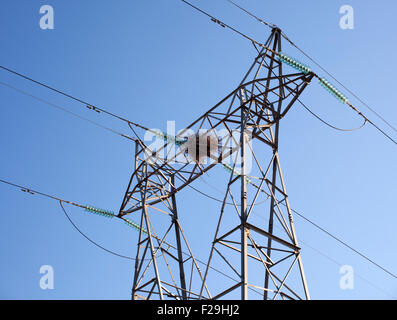 Un nido di cicogna su un traliccio di elettricità, Spagna Foto Stock