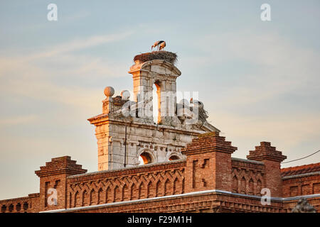 Colegio Mayor de San Ildefonso belfry dettaglio. Comunità di Madrid, Spagna. Foto Stock