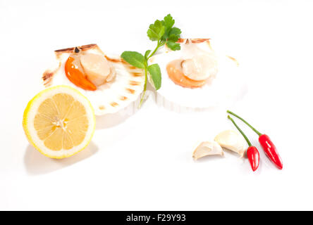 Cappesante e limone su sfondo bianco Foto Stock