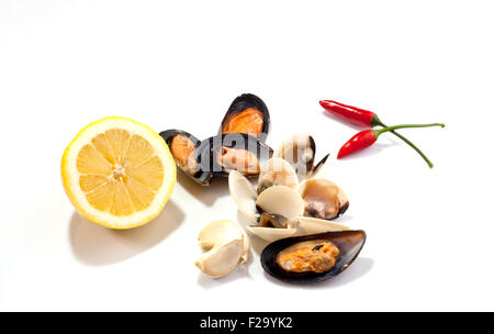 Le cozze e le vongole su sfondo bianco Foto Stock