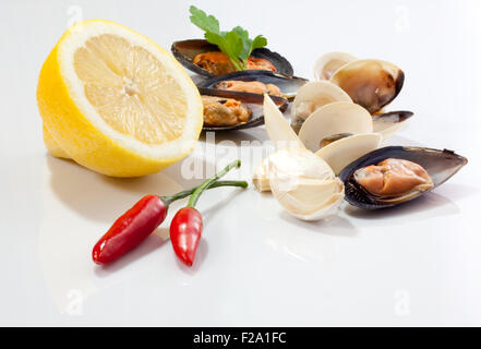 Le cozze e le vongole su sfondo bianco Foto Stock