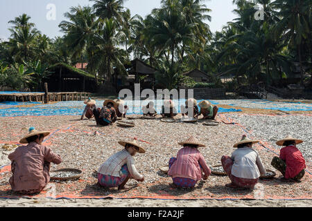 Donne locali indossando cappelli di paglia, smistare pesce in bambù bocce, pesce di essiccazione al sole, legno case di pescatori dietro, sul Foto Stock