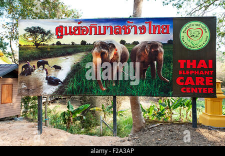 Firmare all'entrata al Thai Elephant Care Center, Maesa Elephant Camp, Mae Rim, Chiang Mai, Thailandia Foto Stock