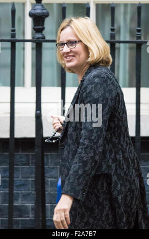 A Downing Street, Londra, Regno Unito. 15 Settembre, 2015. Ambra Rudd MP, Segretario di Stato per l'energia e il cambiamento climatico arriva al 10 di Downing Street per frequentare il settimanale riunione del gabinetto © Paul Davey/Alamy Live News Credito: Paolo Davey/Alamy Live News Foto Stock