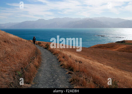 Persona che cammina su un percorso a Kaikoura, Isola del Sud, Nuova Zelanda Foto Stock