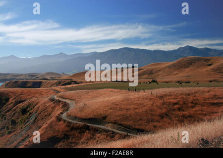 Kaikoura, Isola del Sud, Nuova Zelanda Foto Stock