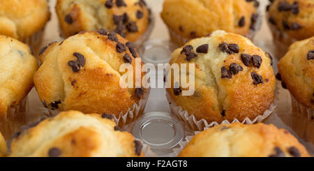 Molti cibi freschi e confezionati chocolate chip muffin. Foto Stock