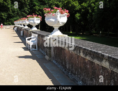 Chateau de Chenonceau, Diane's garden,della Valle della Loira,fiume Cher, Indre-et-Loire,Touraine,Francia Foto Stock