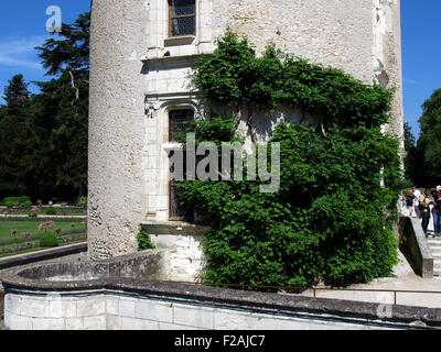 Chateau de Chenonceau,spazio antistante e la Torre Marques,della Valle della Loira,fiume Cher, Indre-et-Loire,Touraine,Francia Foto Stock