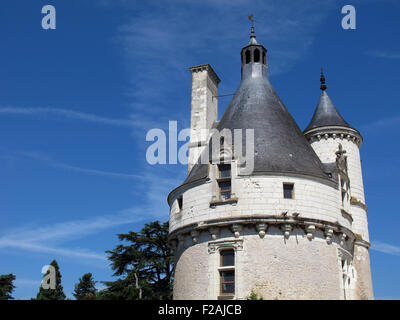 Chateau de Chenonceau,spazio antistante e la Torre Marques,della Valle della Loira,fiume Cher, Indre-et-Loire,Touraine,Francia Foto Stock