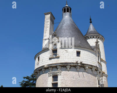 Chateau de Chenonceau,spazio antistante e la Torre Marques,della Valle della Loira,fiume Cher, Indre-et-Loire,Touraine,Francia Foto Stock