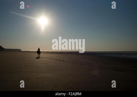 Cavallo e cavaliere sulla spiaggia vuota, tramonto, Normandia, Francia Foto Stock