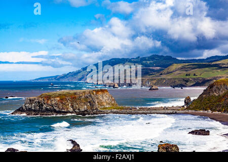 Capra stato Rock beach e il deflusso del fiume russo parte di Sonoma Coast parco dello stato Foto Stock