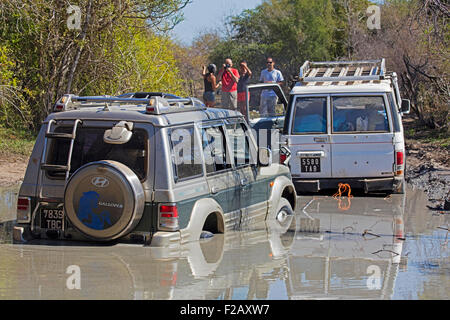 Veicolo a quattro ruote motrici tirando off-road auto al di fuori del fango sulla strada sterrata di Morondava a Toliara, Menabe, Madagascar, Africa Foto Stock