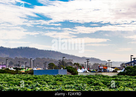 Il 2014 non conformisti raduno di interessi commerciali in gennaio a Half Moon Bay California circondato da carciofi Foto Stock