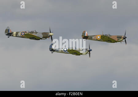 Seafire e Spitfires.nella Battaglia di Bretagna giorno un flypast di 33 aeromobili ha preso il largo da Goodwood aérodrome per contrassegnare il settantacinquesimo anniversario. Seconda Guerra Mondiale Spitfire Foto Stock