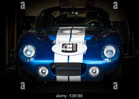 Shelby Daytona Coupe a Goodwood 2015 Foto Stock