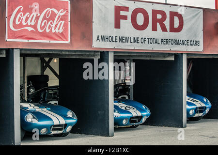 Shelby Daytona Coupe a Goodwood 2015 Foto Stock