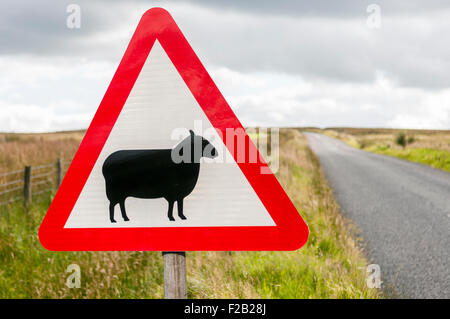 Segno su una strada rurale driver di avviso della presenza di pecore. Foto Stock