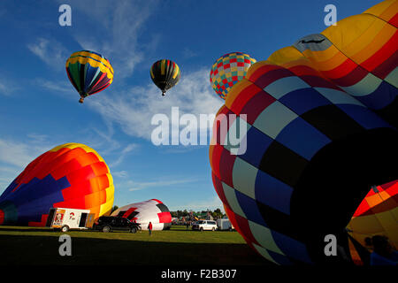 Lancio di sera al trentesimo atlantico annuale International Balloon Fiesta in Sussex, New Brunswick, Canada, Sett. 12, 2015. Foto Stock