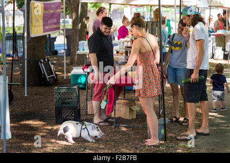 Una giovane donna cammina la sua Juliana tazzina pet suino in un mercato degli agricoltori in Wicker Park il 2 agosto 2015 a Chicago, Illinois, Stati Uniti d'America Foto Stock