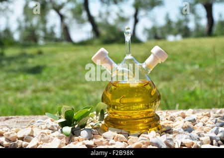 Olio d'oliva. Sirmione, Italia Foto Stock