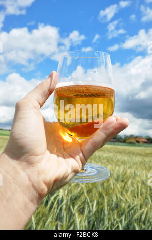 Bicchiere di birra in mano contro le orecchie di orzo Foto Stock