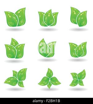 Set di eco-green lascia isolati su sfondo bianco Illustrazione Vettoriale