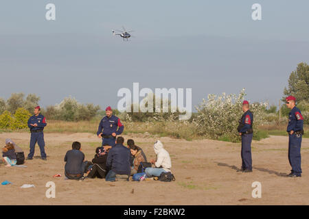 Roszke, Ungheria. Xv Sep, 2015. Ungherese degli ufficiali di polizia di trattenere i rifugiati che hanno attraversato il confine tra Serbia e Ungheria vicino Roszke, Ungheria il 7 settembre 15, 2015. In Ungheria la nuova legge che punisce "illegale border-crossing' in prigione con termini entrò in vigore il martedì. Credito: Attila Volgyi/Xinhua/Alamy Live News Foto Stock