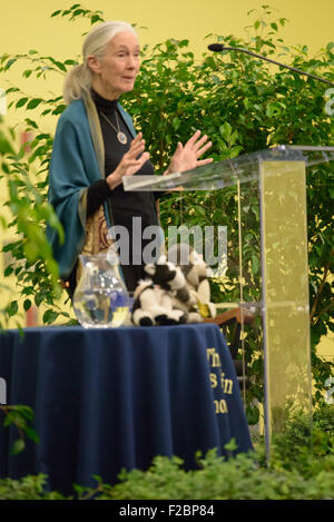 Rosemont, Pennsylvania, USA. Xv Sep, 2015. dr. Jane Goodall, DBE, uno del mondo più rinomato conservazionisti, offrendo una lezione, "a causa della semi di speranza", circa il suo innovativo lavoro studiando gli scimpanzé allo stato selvatico e il suo impegno di lunga data per proteggere l'ambiente all'Agnese irwin scuola. Credito: kelleher fotografia/alamy live news Foto Stock