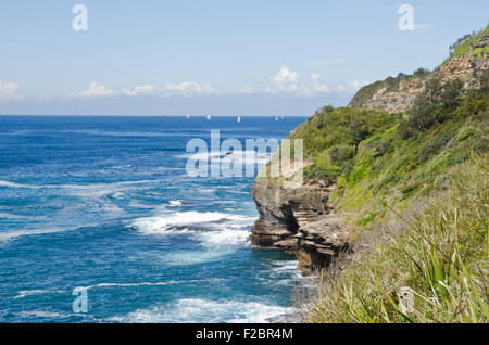 Headland Turimetta,Warriewood NSW Australia Foto Stock