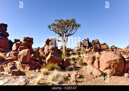 Gigantesco parco giochi, una roccia naturale giardino di Keetmanshoop, Namibia. Foto Stock