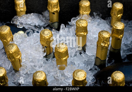 Bottiglie di vino spumante in una vasca con ghiaccio Foto Stock