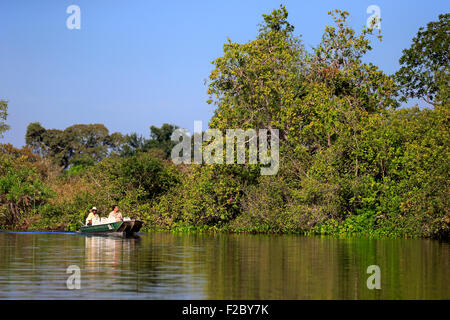 I turisti, safari in barca sul fiume Paraguai, Pantanal, Mato Grosso, Brasile Foto Stock