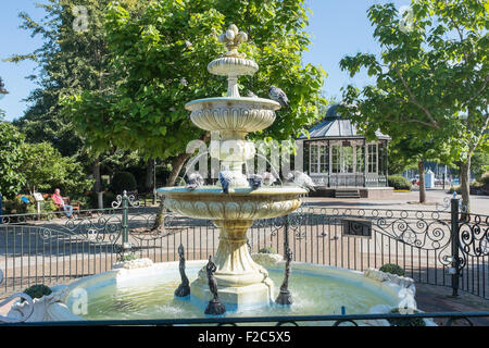 Piccioni balneazione nella fontana di acqua in Royal Avenue Giardini in Dartmouth, Devon Foto Stock