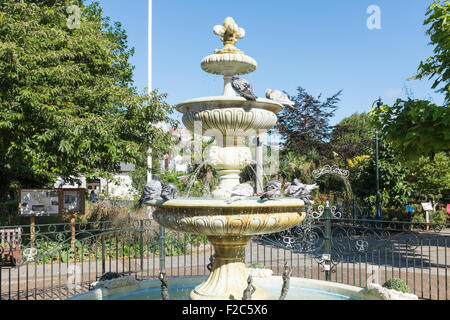 Piccioni balneazione nella fontana di acqua in Royal Avenue Giardini in Dartmouth, Devon Foto Stock