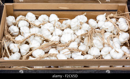 Bulbi di aglio nel marketplace. Tema alimentare. Foto Stock