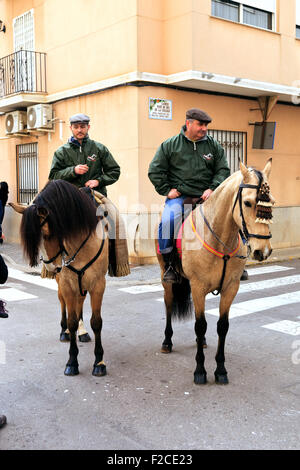 Lo spagnolo cavalli andalusi per la benedizione degli animali festival in Nules, Spagna Foto Stock