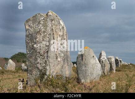 Carnac nella Francia del nord,Neolitico costruzione in pietra di pietre 10000 in Bretagna Foto Stock