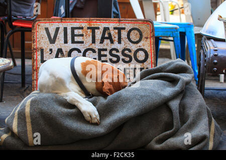 Cane dorme accanto al cartello con scritto "Accesso negato" Foto Stock