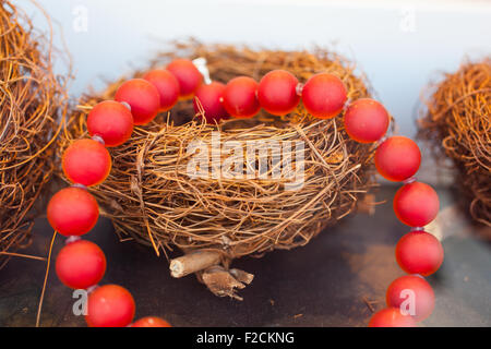 Close up rosso collana di perle sul nido Foto Stock