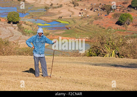 Bestiame malgascio herder / cattleman nelle Highlands Centrali sul loro modo di zebù mercato Ambalavao, Haute Matsiatra, Madagascar Foto Stock