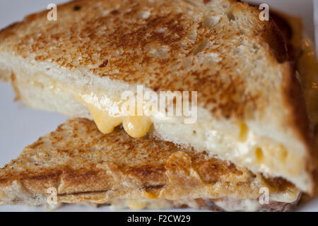 Close-up di formaggio alla griglia in sandwich con formaggio che colava. Foto Stock