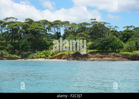 Selvatica costa tropicale di Popa isola di Bocas del Toro, Panama, il mare dei Caraibi e America centrale Foto Stock