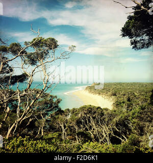 Vista sulla spiaggia a Portsea Riserva, Australia Foto Stock